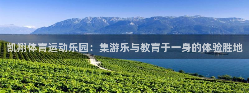 谈球吧体育